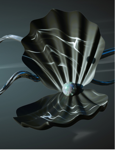 elegance_schelp